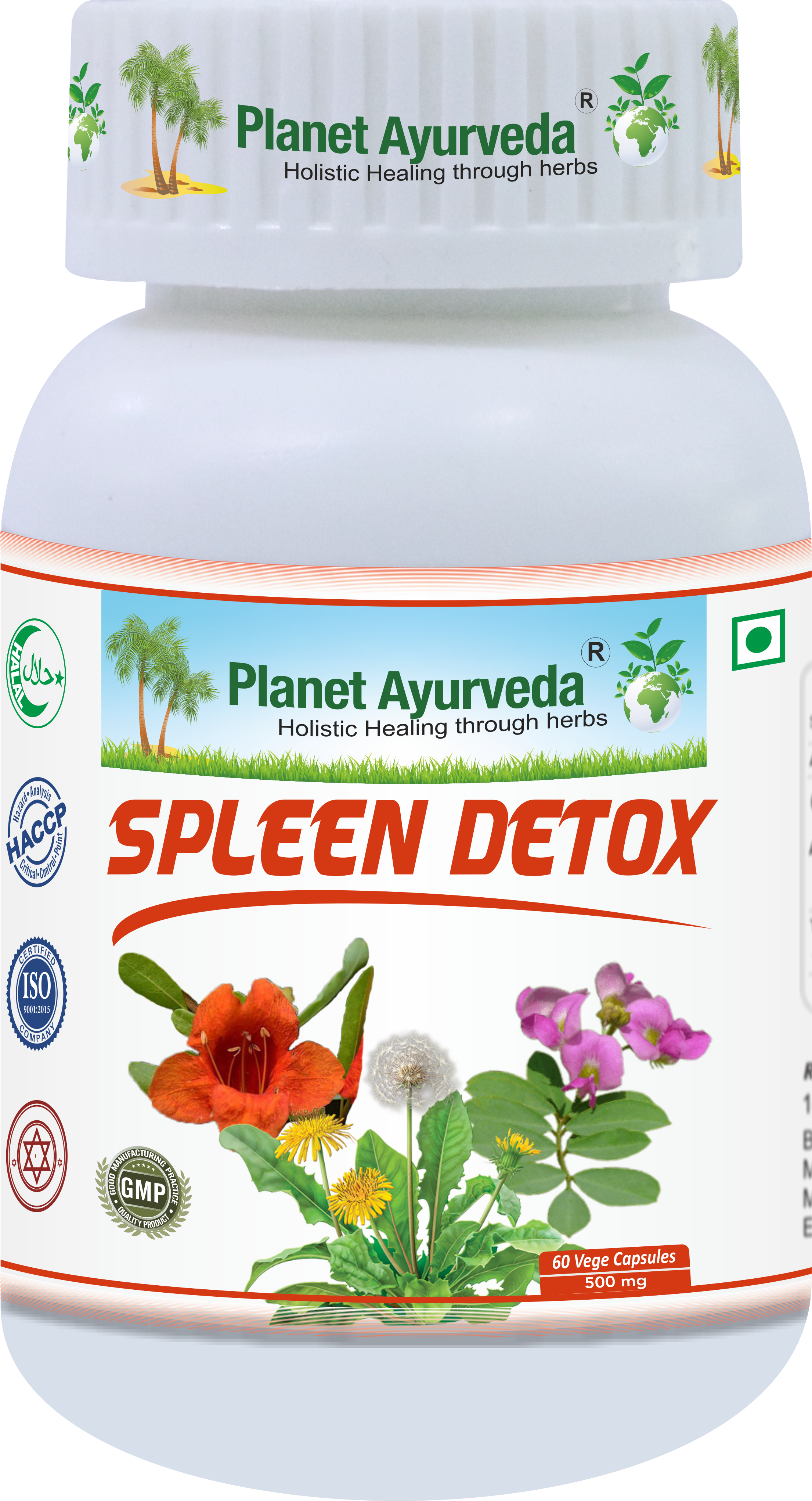 Spleen Detox - zdravie regenerácia a detox sleziny