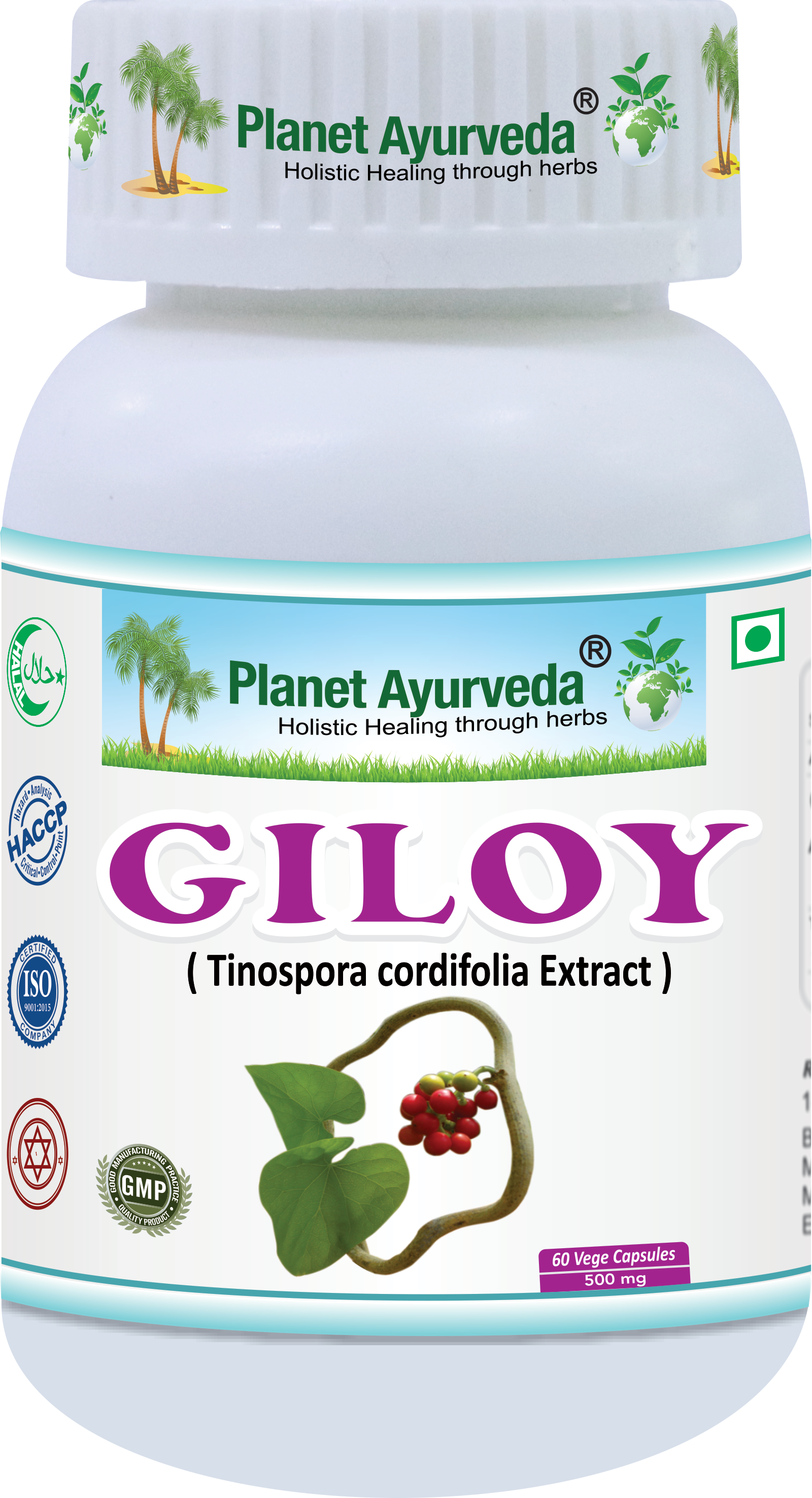 GILOY (Guduči) - podpora imunity, účinný antioxidant