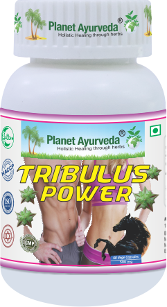 TRIBULUS POWER  Planet Ayurveda - silný extrakt 500 mg