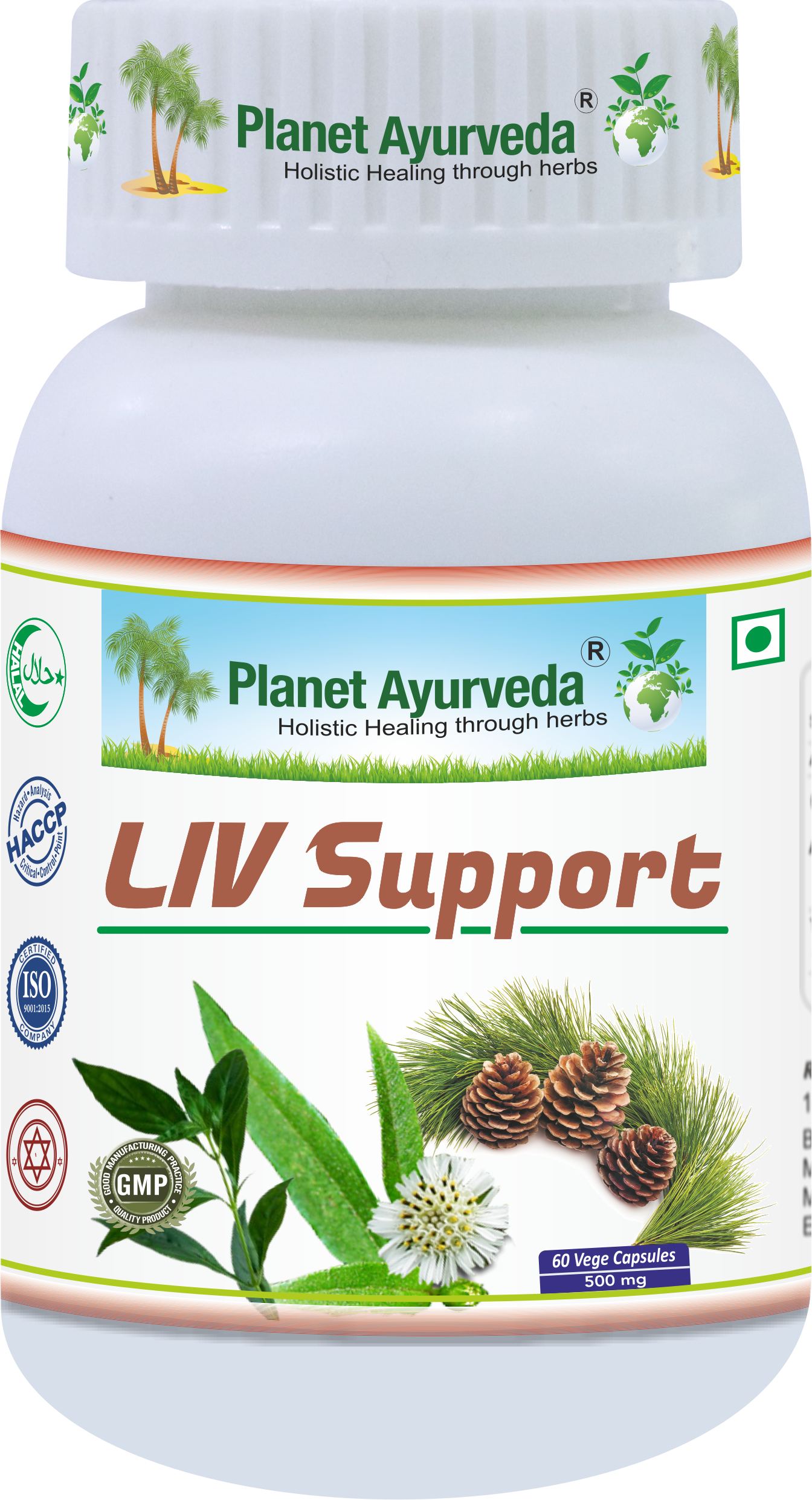 LIV SUPPORT  500mg - ochorenia a regenerácia pečene