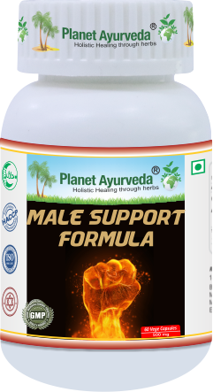 MALE SUPPORT FORMULA 500mg - podpora pre mužov