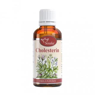 CHOLESTERIN - vysoký cholesterol a ateroskleróza